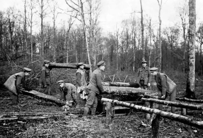 Framed Print : British troops transferring logs, Western Front, WW1 Framed Print : British troops transferring logs, Western Front, WW1