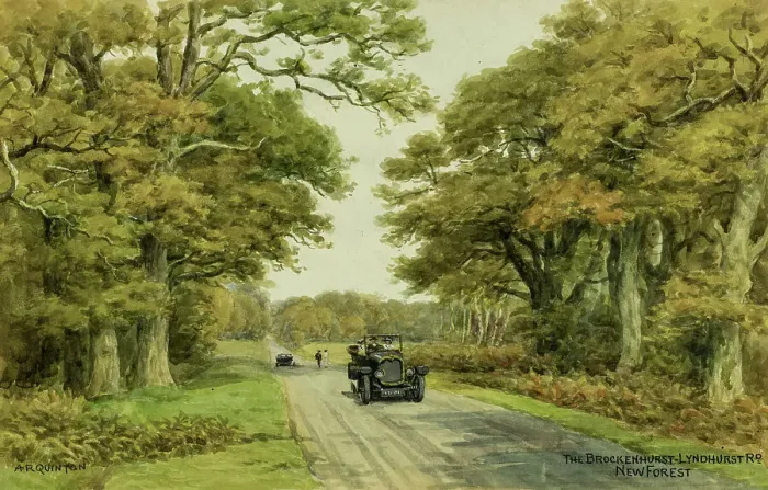 Framed Print : Brockenhurst to Lyndhurst road, New Forest, Hampshire Framed Print : Brockenhurst to Lyndhurst road, New Forest, Hampshire