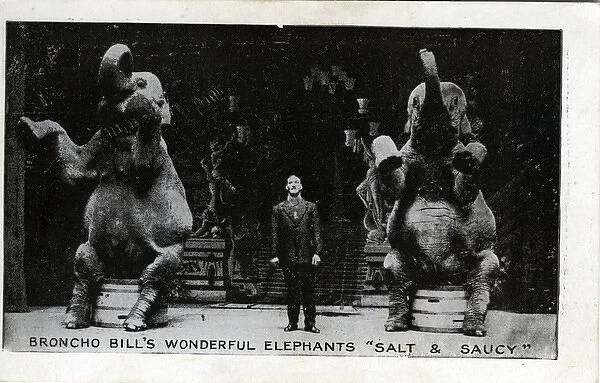 Broncho Bill & Circus Elephants