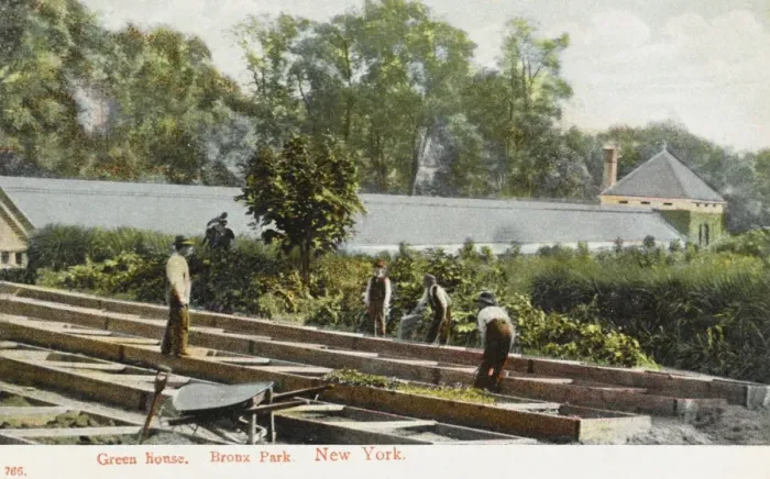 Framed Print : Bronx Park, New York Framed Print : Bronx Park, New York