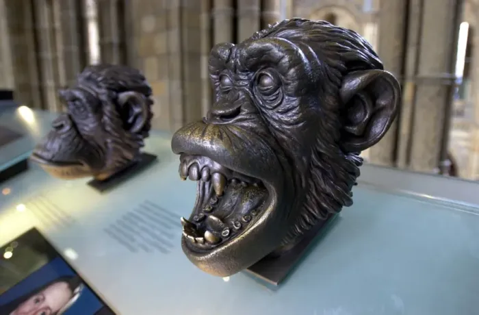 Framed Print : Bronze bust of a chimpanzee Framed Print : Bronze bust of a chimpanzee