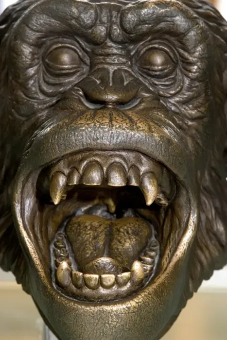 Framed Print : Bronze sculpture of Chimpanzee head Framed Print : Bronze sculpture of Chimpanzee head