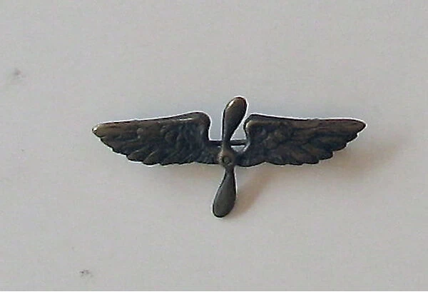 Brooch with a pair of wings and a propeller at its centre