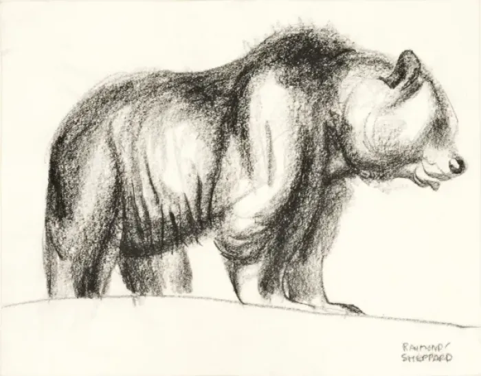 Framed Print : Brown Bear Framed Print : Brown Bear
