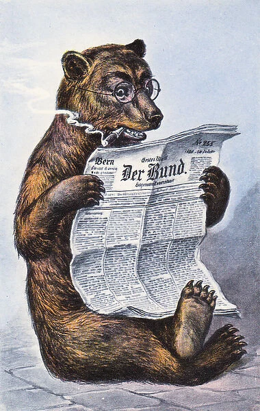 Brown bear reading newspaper on a German postcard