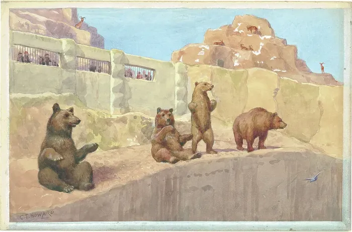 Framed Print : Brown Bears and Barbary Sheep on Mappin Terrace - London Zoo Framed Print : Brown Bears and Barbary Sheep on Mappin Terrace - London Zoo
