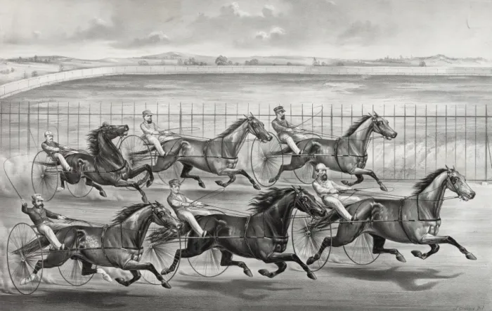 Framed Print : The brush on the homestretch: Between American girl, Lucy, B Framed Print : The brush on the homestretch: Between American girl, Lucy, B