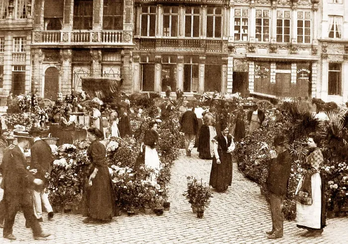 Framed Print : Brussels Flower Market, Belgium Framed Print : Brussels Flower Market, Belgium