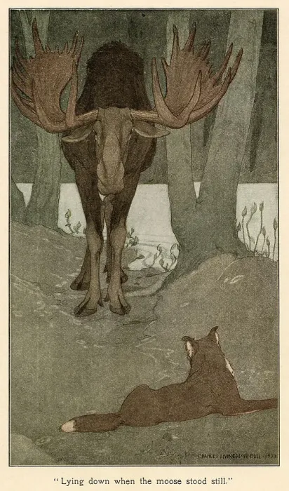 Framed Print : Buck's encounter with a moose. Date: First published: 1903 Framed Print : Buck's encounter with a moose. Date: First published: 1903