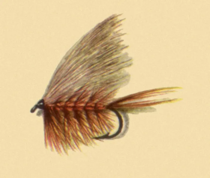 Framed Print : Bucktail Caddis Fly Date: 1950 Framed Print : Bucktail Caddis Fly Date: 1950