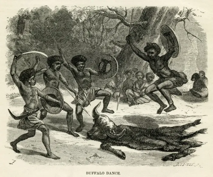 Framed Print : Buffalo dance Framed Print : Buffalo dance