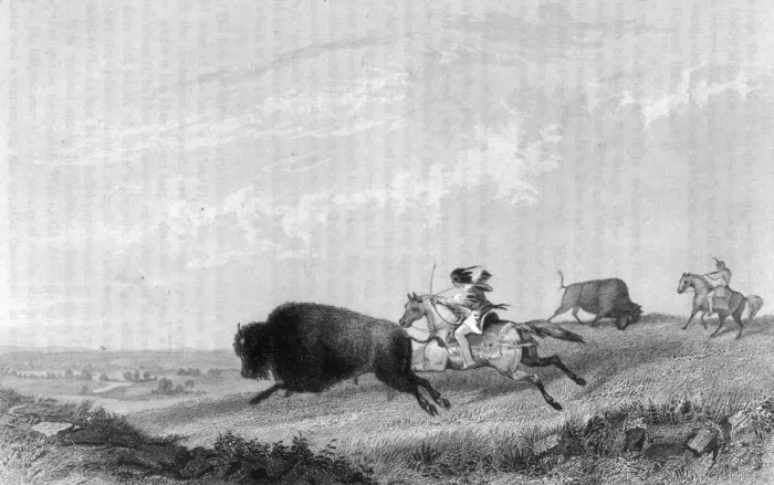 Framed Print : Buffalo Hunt, Missouri Framed Print : Buffalo Hunt, Missouri
