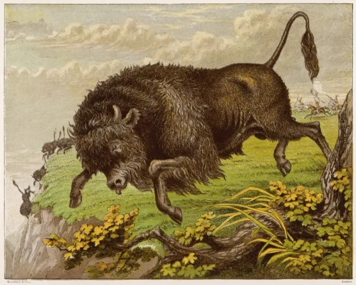 Framed Print : Buffalo (Kronheim) 1869 Framed Print : Buffalo (Kronheim) 1869