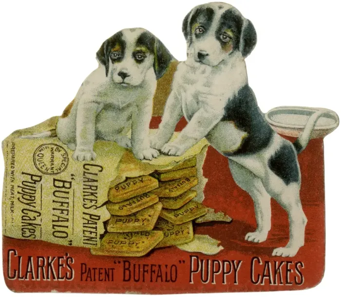 Framed Print : Buffalo Puppy Cakes Ad Framed Print : Buffalo Puppy Cakes Ad