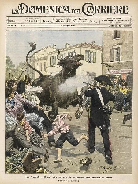 Bull Escapes Novara 1907