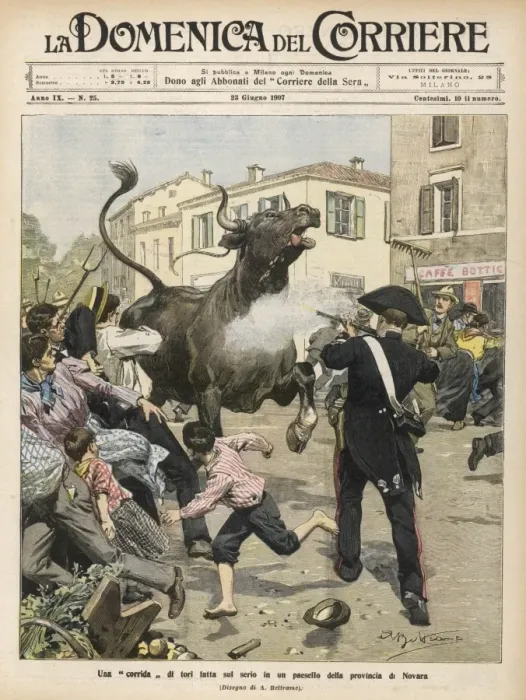 Framed Print : Bull Escapes Novara 1907 Framed Print : Bull Escapes Novara 1907