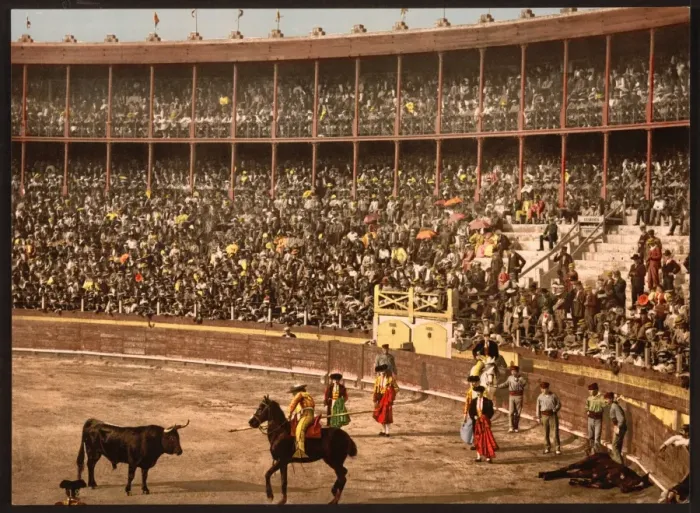 Framed Print : A bull fight, Barcelona, Spain Framed Print : A bull fight, Barcelona, Spain