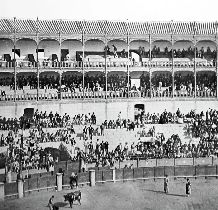 Framed Print : bull fight seville spain Framed Print : bull fight seville spain