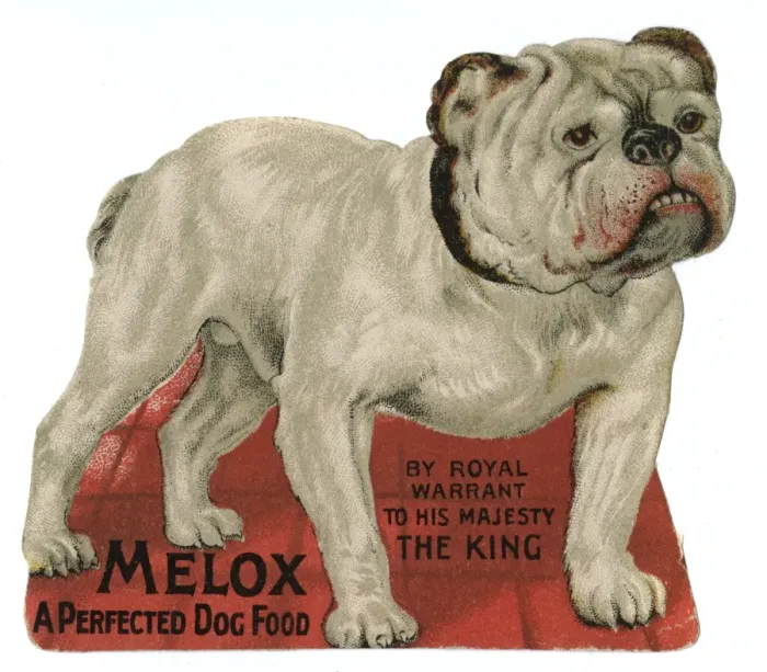 Framed Print : Bulldog Advertisement Framed Print : Bulldog Advertisement