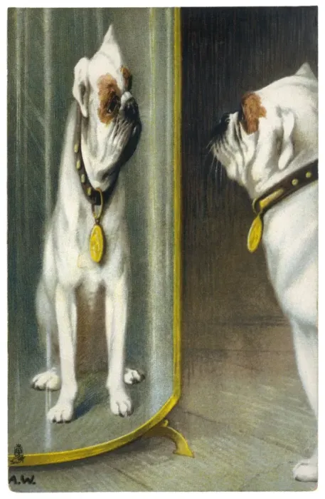 Framed Print : Bulldog Distorted - 2 Framed Print : Bulldog Distorted - 2