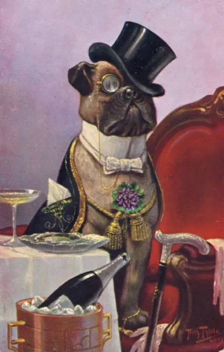Framed Print : Bulldog in evening dress on a greetings postcard Framed Print : Bulldog in evening dress on a greetings postcard
