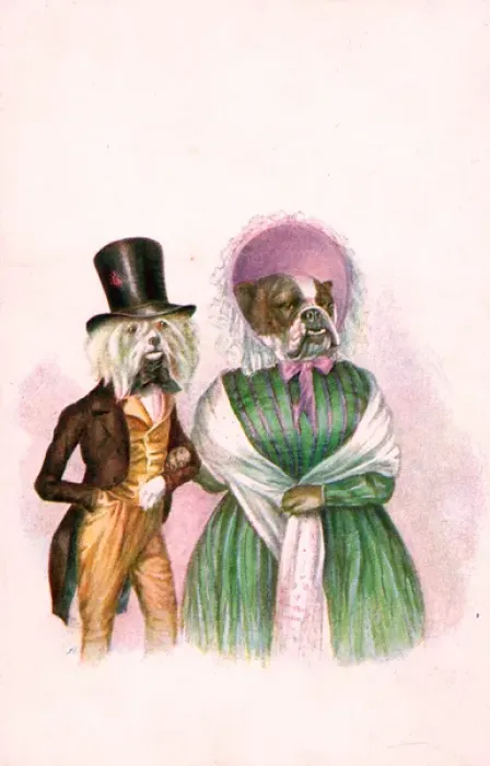 Framed Print : Bulldog and terrier in human dress on a greetings postcard Framed Print : Bulldog and terrier in human dress on a greetings postcard