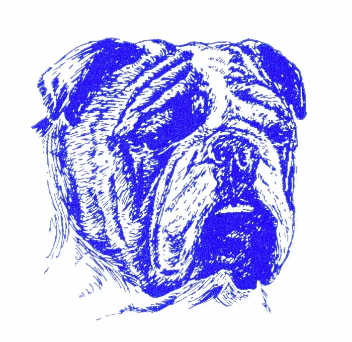Framed Print : Bulldog's head - 1950s printer's block Framed Print : Bulldog's head - 1950s printer's block