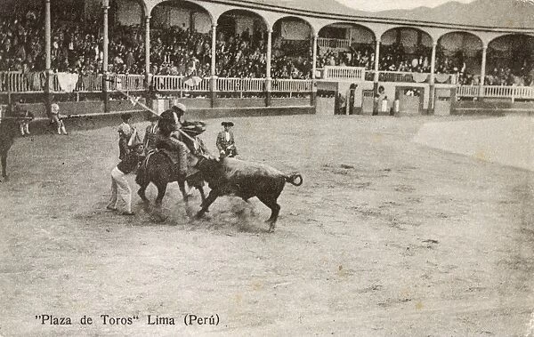 Bullfighting - Lima, Peru