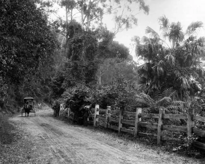Framed Print : Bulli Pass, Illawarra District, New South Wales, Australia Framed Print : Bulli Pass, Illawarra District, New South Wales, Australia