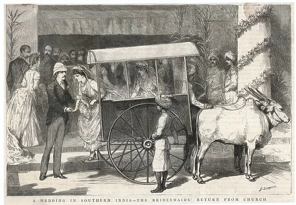 Bullock Cart - 2
