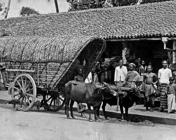 Bullock cart, India. People with a bullock cart, India. Date: circa 1890s