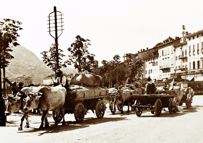 Framed Print : Bullock Cart, Lugano, Switzerland, Victorian period Framed Print : Bullock Cart, Lugano, Switzerland, Victorian period