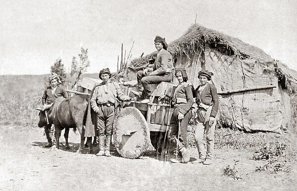 Bullock wagon in the Caucasus, circa 1880s