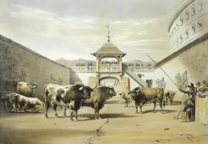 Framed Print : The bulls in the corral of the plaza Framed Print : The bulls in the corral of the plaza
