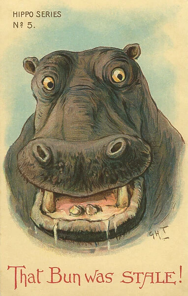 Hippo. That bun was stale! Illustrated comic postcard of angry hippo