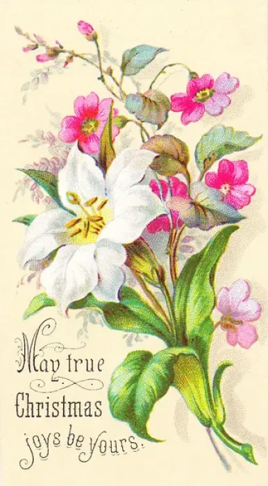 Framed Print : Bunch of flowers on a Christmas card Framed Print : Bunch of flowers on a Christmas card