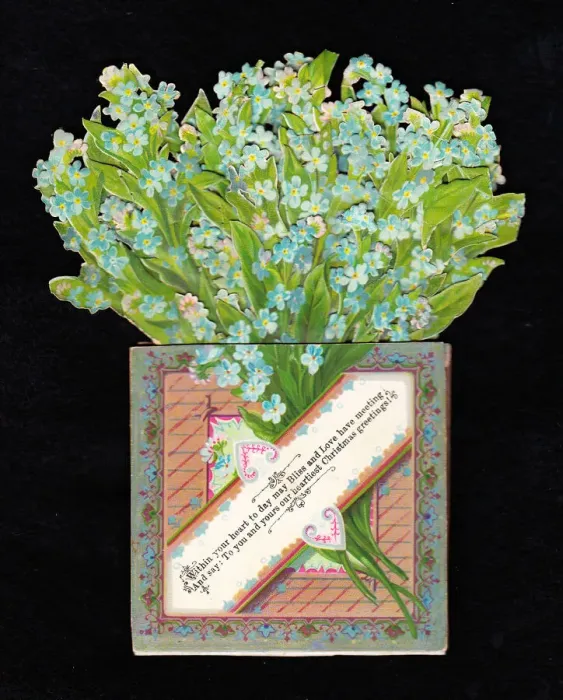 Framed Print : Bunch of forgetmenots on a Christmas card Framed Print : Bunch of forgetmenots on a Christmas card