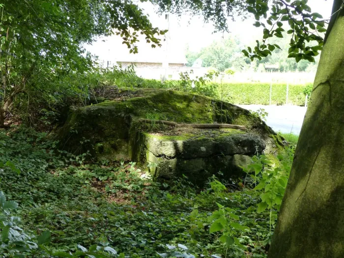 Framed Print : Bunker, Shrewsbury Forest, Ypres area Framed Print : Bunker, Shrewsbury Forest, Ypres area