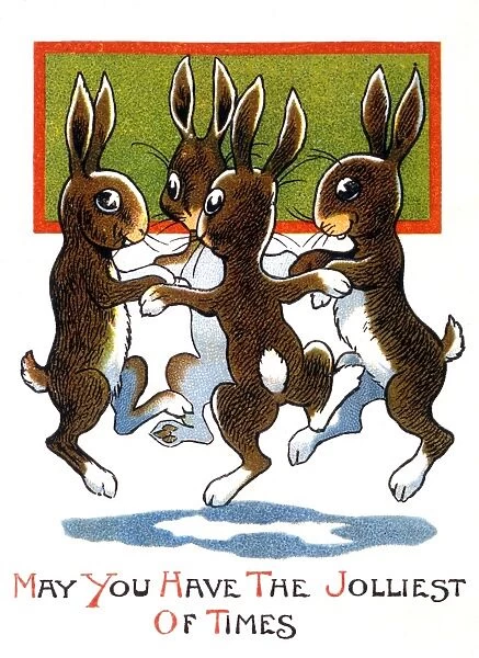 Four Bunnies Dance
