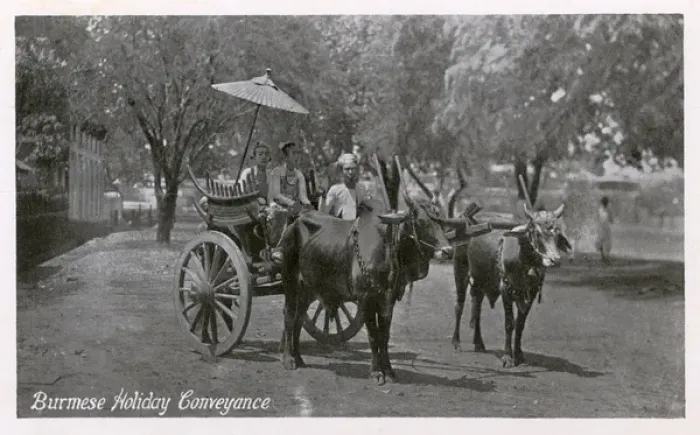 Framed Print : A Burmese Bullock Carriage - A Holiday Conveyance Framed Print : A Burmese Bullock Carriage - A Holiday Conveyance