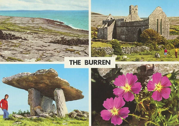 The Burren, Multi-view (flowers), Republic of Ireland
