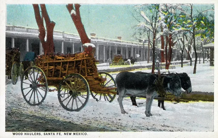 Framed Print : (Burros) Donkey Cart hauling wood, Santa Fe, New Mexico, USA Framed Print : (Burros) Donkey Cart hauling wood, Santa Fe, New Mexico, USA