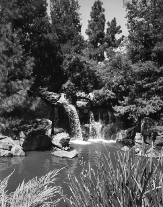 Framed Print : Busch Gardens Waterfall Framed Print : Busch Gardens Waterfall