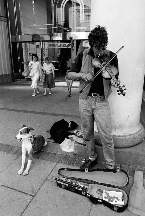 Framed Print : Busker with dogs, Cheltenham - 1 Framed Print : Busker with dogs, Cheltenham - 1