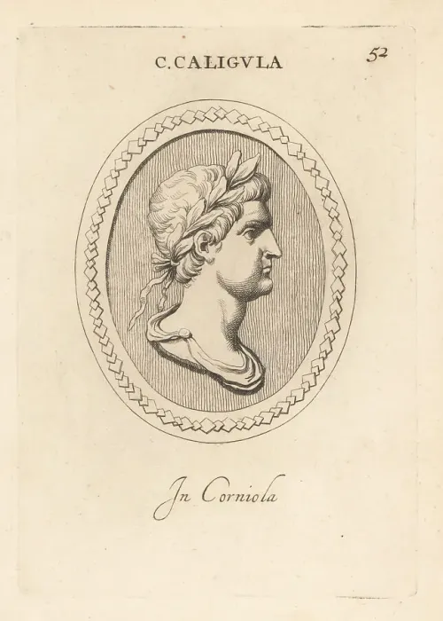 Framed Print : Bust of Gaius Caesar Augustus Germanicus or Caligula Framed Print : Bust of Gaius Caesar Augustus Germanicus or Caligula