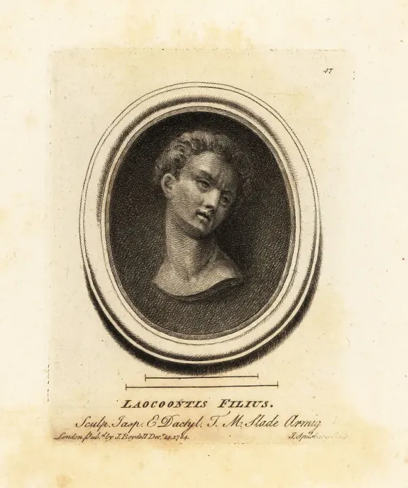 Framed Print : Bust of one of Laocoon's sons Framed Print : Bust of one of Laocoon's sons