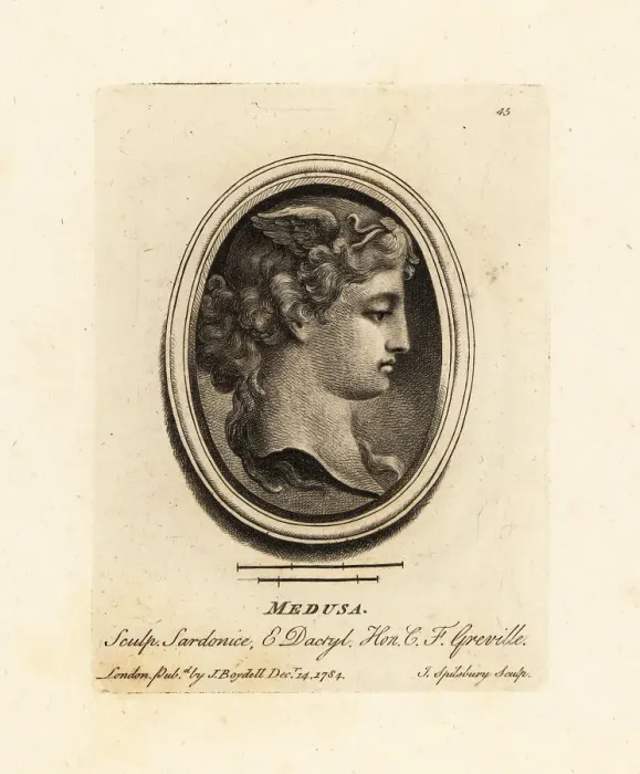 Framed Print : Bust of Medusa, a Gorgon with venomous snakes in her hair Framed Print : Bust of Medusa, a Gorgon with venomous snakes in her hair