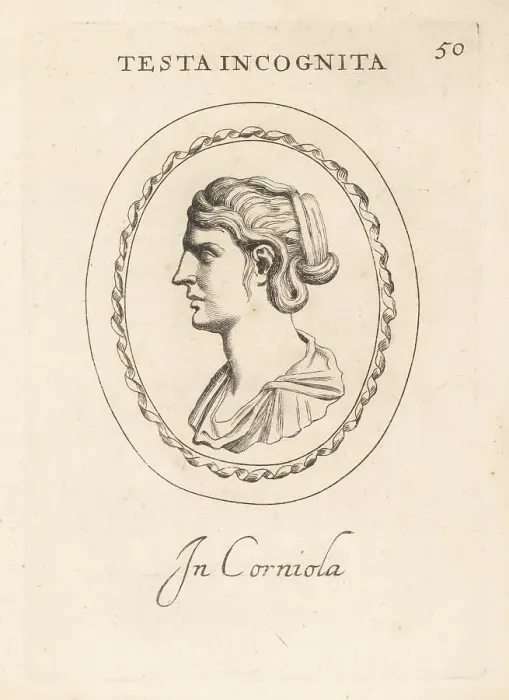 Framed Print : Bust profile of an unknown woman in carnelian