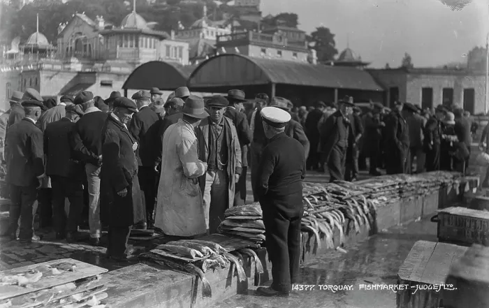 Framed Print : Busy Day at Torquay Fish Market Framed Print : Busy Day at Torquay Fish Market