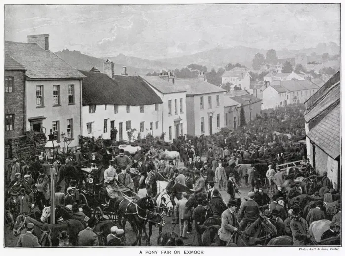 Framed Print : Busy scene during a pony fair on Exmoor, Devon. Date: 1897 Framed Print : Busy scene during a pony fair on Exmoor, Devon. Date: 1897